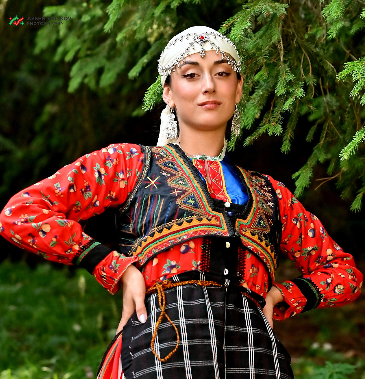kosichnik cherven